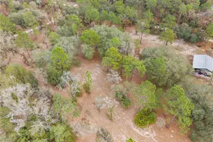 12251 SE 66th Pl, Morriston, FL 32668 - Photo 21