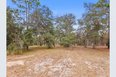 12251 SE 66th Place, Morriston, FL 32668 - Photo 19