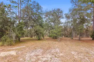 12251 SE 66th Pl, Morriston, FL 32668 - Photo 19