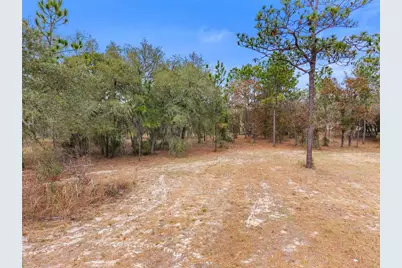 12251 SE 66th Place, Morriston, FL 32668 - Photo 17