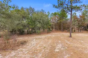 12251 SE 66th Pl, Morriston, FL 32668 - Photo 17