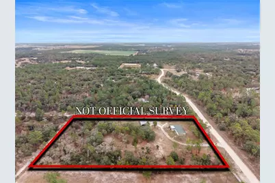 12251 SE 66th Place, Morriston, FL 32668 - Photo 55