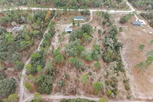 12251 SE 66th Pl, Morriston, FL 32668 - Photo 53