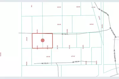 Tbd NE 154th Place #LOT 6 & 7, Fort Mc Coy, FL 32134 - Photo 3