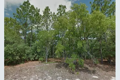 8100 N Triana Drive, Citrus Springs, FL 34434 - Photo 3