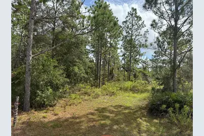 7341 SE 117th, Morriston, FL 32668 - Photo 3