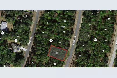 8116 N Triana Drive, Citrus Springs, FL 34434 - Photo 3