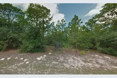 8116 N Triana Drive, Citrus Springs, FL 34434 - Photo 5