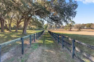 12260 NW 100th St, Ocala, FL 34482 - Photo 23