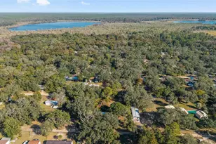 4119 NE 172nd Ct, Silver Springs, FL 34488 - Photo 33