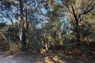 SW 148th Ct 32nd Pl, Ocala, FL 34481 - Photo 1