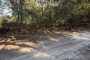 SW 148th Ct 32 Nd Pl, Ocala, FL 34481 - Photo 1