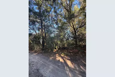 Sw 148th Ct 32 Nd Place, Ocala, FL 34481 - Photo 3