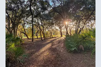 11064 NE 212th Lane, Fort Mc Coy, FL 32134 - Photo 3