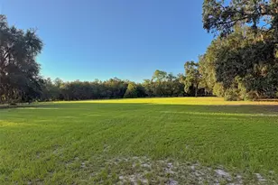 11064 NE 212th Ln, Fort Mc Coy, FL 32134 - Photo 27