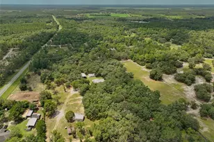 11064 NE 212th Ln, Fort Mc Coy, FL 32134 - Photo 31