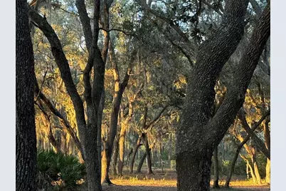 11064 NE 212th Lane, Fort Mc Coy, FL 32134 - Photo 51