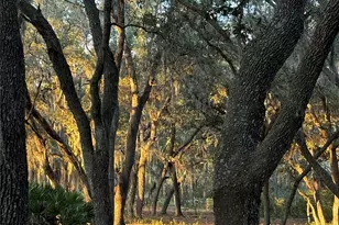 11064 NE 212th Ln, Fort Mc Coy, FL 32134 - Photo 51