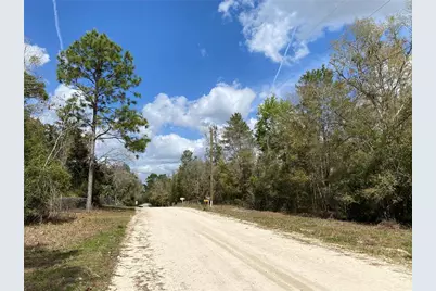 00 NE 142nd Court, Williston, FL 32696 - Photo 5