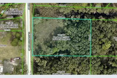 7222 Glenchester Drive, Ridge Manor Estates, FL 33597 - Photo 1