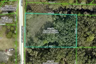 7222 Glenchester Dr, Ridge Manor Estates, FL 33597 - Photo 1