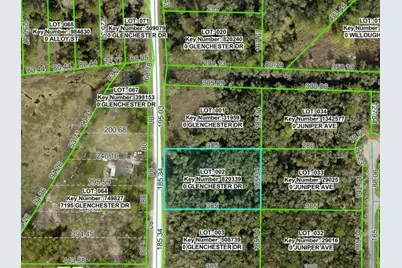 7192 Glenchester Drive, Ridge Manor Estates, FL 33597 - Photo 3