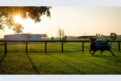 3650 SE 165th Avenue, Morriston, FL 32668 - Photo 51