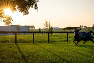 3650 SE 165 Ave, Morriston, FL 32668 - Photo 51