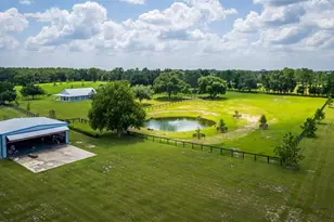 3650 SE 165 Ave, Morriston, FL 32668 - Photo 11