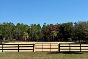 3650 SE 165 Ave, Morriston, FL 32668 - Photo 59