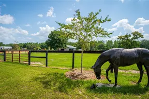 3650 SE 165 Ave, Morriston, FL 32668 - Photo 63