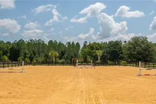 3650 SE 165 Ave, Morriston, FL 32668 - Photo 55