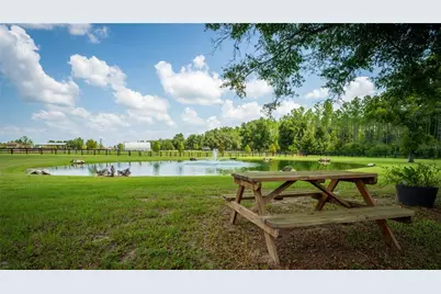 3650 SE 165th Avenue, Morriston, FL 32668 - Photo 9