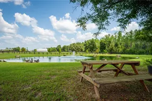 3650 SE 165 Ave, Morriston, FL 32668 - Photo 9