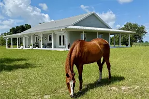 3650 SE 165 Ave, Morriston, FL 32668 - Photo 51