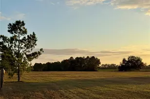 3650 SE 165 Ave, Morriston, FL 32668 - Photo 61