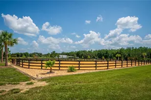 3650 SE 165 Ave, Morriston, FL 32668 - Photo 49