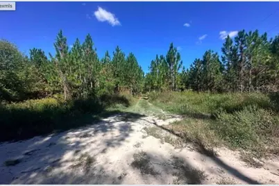 565 SW Daisy Road, Lake City, FL 32024 - Photo 5