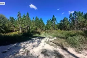 565 SW Daisy Rd, Lake City, FL 32024 - Photo 5