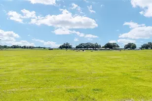 1177 NW 102nd Blvd, Wildwood, FL 34785 - Photo 83