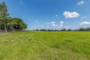 1177 NW 102nd Blvd, Wildwood, FL 34785 - Photo 87