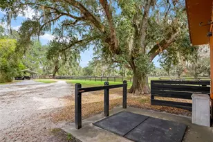 11553 NE Hwy 315, Fort Mc Coy, FL 32134 - Photo 39