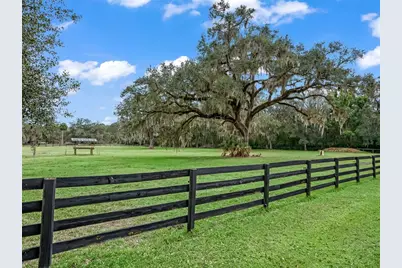 11553 NE Highway 315, Fort Mc Coy, FL 32134 - Photo 45