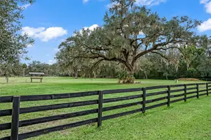 11553 NE Hwy 315, Fort Mc Coy, FL 32134 - Photo 47