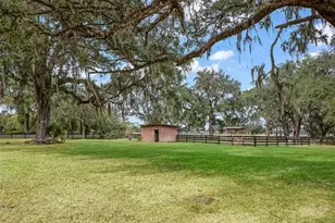 11553 NE Hwy 315, Fort Mc Coy, FL 32134 - Photo 45