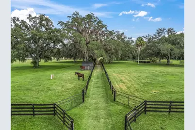 11553 NE Highway 315, Fort Mc Coy, FL 32134 - Photo 47