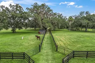 11553 NE Hwy 315, Fort Mc Coy, FL 32134 - Photo 47