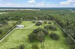 11553 NE Hwy 315, Fort Mc Coy, FL 32134 - Photo 3