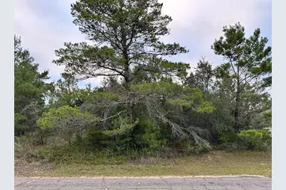 Colmart Drive, Chipley, FL 32428 - Photo 3