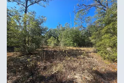 11136 N Vesta Point, Dunnellon, FL 34434 - Photo 7